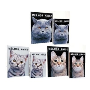 SH-20723 JOGO 2 CAIXAS LIVRO PORTA OBJETOS