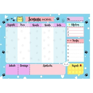 PP01 A 38/DP03 A 14 MINI PLANEJADOR E QUADRO DO INCENTIVO 20X26CM