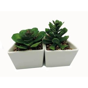 BRKZ-10154 VASO LEGUMINOSAS 8X14CM