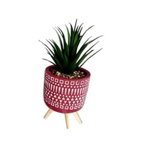 BRSM-10270 VASO LEGUMINOSAS