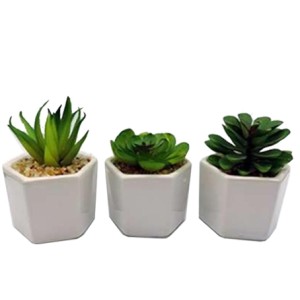 BRKZ-10156 VASO LEGUMINOSAS 9X10CM