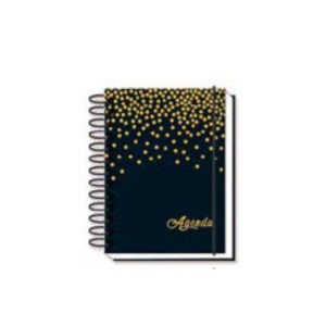 AG21078 AGENDA PERMANENTE 160 FOLHAS 104X142MM