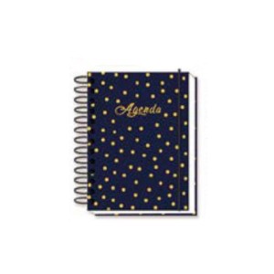 AG21077 AGENDA PERMANENTE 160 FOLHAS 129X179MM