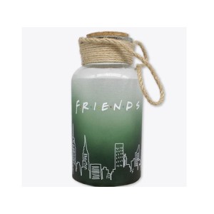 10082712 LUMINARIA POTE LED FRIENDS