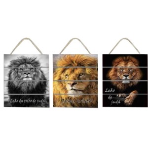 BR8022 KIT QUADRO COM CORDA 38X29CM