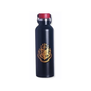 10072081 CANTIL VOYAGE 800ML HOGWARTS