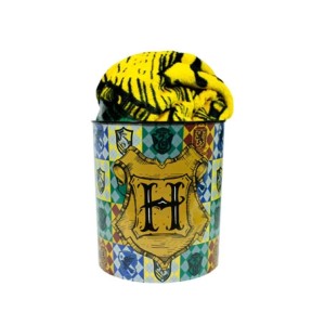 10140851 KIT BALDE + MANTA HARRY POTTER