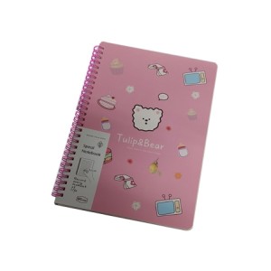 68-MJ6816-45 CADERNO DE ANOTACOES