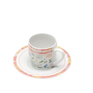 17330 CONJ XICARAS CAFEE LEAVES AND