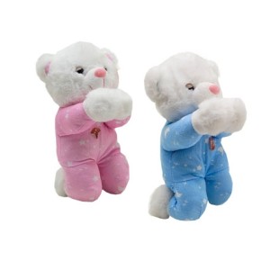 FC2761 URSO QUE REZA 24CM