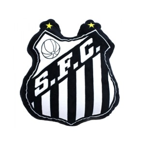 XT8883-4 ALMOFADA BRASAO  SANTOS