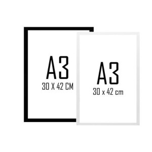 SXBT-5682 QUADRO CERTIFICADO A3 30X42CM