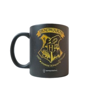10026463 CANECA MAGIC 300ML HARRY POTTER
