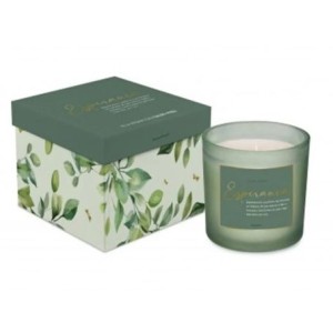 14549 VELA AROMATICA ESPERANÇA